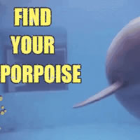 find your purpose